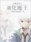 惡魔奶爸之馴化魔王小說