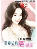 惡魔總裁，離婚吧小說