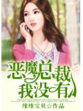 惡魔總裁，我沒有……小說