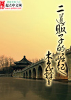 二道販子的崛起小說