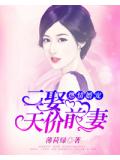 二娶天價前妻小說