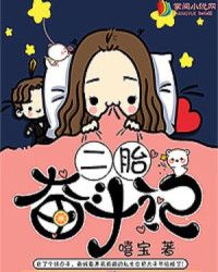 二胎奮鬥記小說