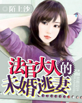 法官大人的未婚逃妻小說