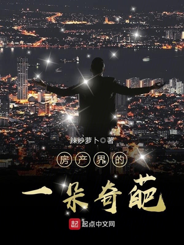 房產界的一朵奇葩小說