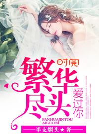 繁華盡頭愛過你小說