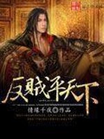 反賊平天下小說