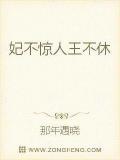 妃不驚人王不休小說