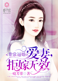 非常逼婚：愛妻，拒嫁無效小說
