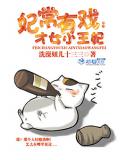 妃常有戲：才女小王妃小說