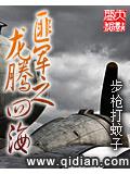 匪軍之龍騰四海小說