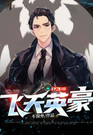 飛天英豪小說