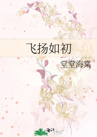 飛揚如初小說
