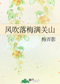 風吹落梅滿關山小說