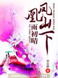 鳳凰山下雨初晴小說