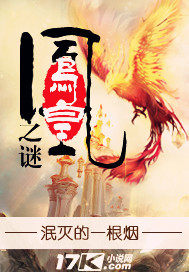 鳳凰之謎小說