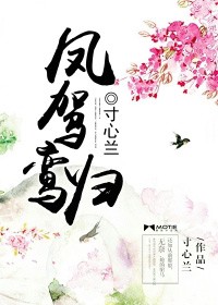 鳳駕鸞歸小說