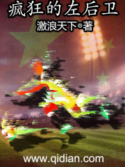瘋狂的左後衛小說