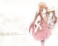 風臨裙舞心動搖小說