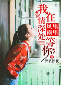 風裡雨裡，我在情深處等你小說