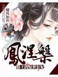 鳳涅槃小說