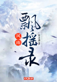 風雨飄搖錄小說