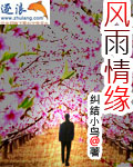 風雨情緣小說