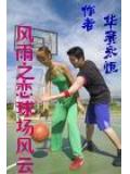 風雨之戀球場風雲小說