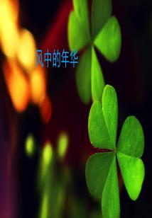 風中的年華小說