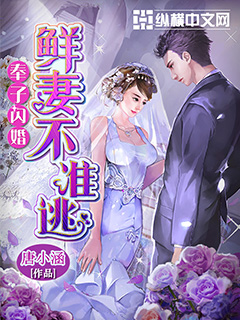 奉子閃婚：鮮妻不準逃小說