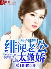 奉子逃婚，緋聞老公太傲嬌小說