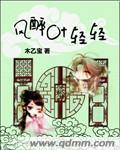 風醉葉輕輕小說