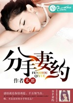 分手妻約小說