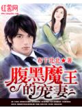 腹黑魔王的寵妻小說