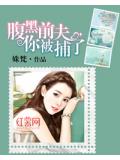 腹黑前夫，你被捕了小說