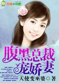 腹黑總裁寵嬌妻小說