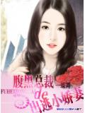 腹黑總裁的出逃小嬌妻小說