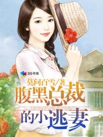 腹黑總裁的小逃妻小說