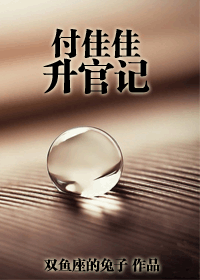 付佳佳升官記小說