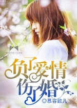 負了愛情傷了婚小說