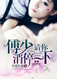 傅少，請你消停一下小說