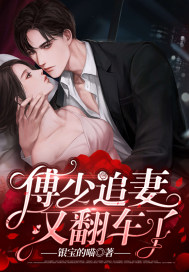 傅少追妻又翻車了小說