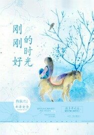 剛剛好的時光小說