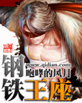 鋼鐵王座小說