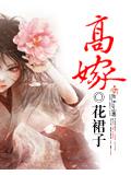 高嫁小說