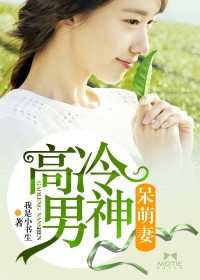 高冷男神呆萌妻小說