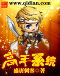 高手系統小說