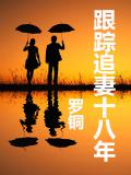跟蹤追妻十八年小說