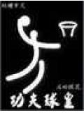 功夫球皇小說