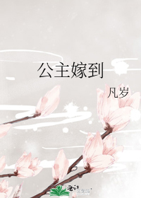 公主嫁到小說