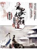乖乖相公：愛妻好霸道小說
